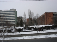 sursa: sfin.ro