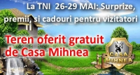 mihnea 1