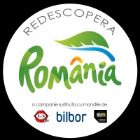 front-sticker copy