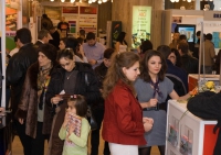 sursa: projectexpo.ro