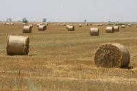 sursa: capital.ro