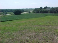sursa: zf.ro