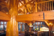 Arbore – Squam Lake, New Hampshire, SUA