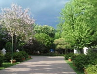 Grădina Icoanei, o zonă pentru oameni împliniţi, afaceri profitabile şi tineri dornici de ...