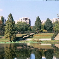 Edilii sectorului 4 au aprobat construcţia unor blocuri pe spaţiul verde, l&acirc;ngă Parcul Tineretului