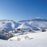 foto:romanialibera.ro