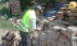 Preparing the salvaged bricks for reuse
