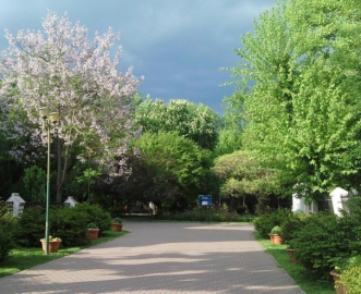 Grădina Icoanei, o zonă pentru oameni împliniţi, afaceri profitabile şi tineri dornici de distracţie