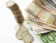 Ce se va întâmpla cu creditele în lei când vom trece la euro?