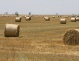 Terenurile agricole din România, ţinta străinilor în căutare de investiţii sigure