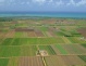 Terenurile agricole, tot mai căutate. Preţul lor urcă vertiginos, iar suprafaţa totală scade puternic