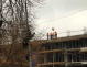 Bloc penal, în zona protejată Cotroceni. Afacerea imobiliară Stoica - Locic a intrat în etapa infracţională