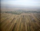 Terenurile agricole, ieftine şi profitabile până la extrem. Români şi străini luptă să prindă cele mai bune parcele.