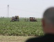 Străinii ne cumpără ţara la hectar: Cum s-a scumpit pământul românesc cu 40% în plină criză