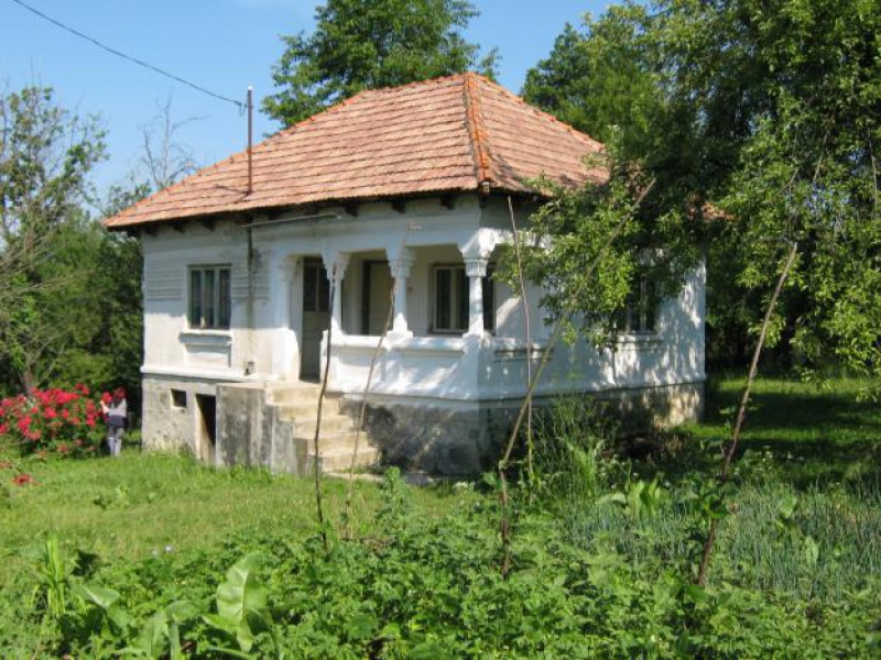 Case la ţară sub 20.000 Euro