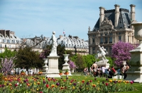 34829-3_le_jardin_des_tuileries_paris.jpg