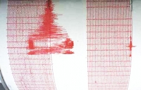 Cutremur în Bucuresti şi Dobrogea
