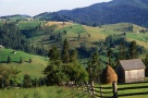Udrea a primit undă verde de la Guvern!