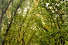 Dosarul Herăstrău: punct şi de la capăt