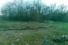 Strandul Tineretului, defrisat si demolat peste noapte. Carnagiu urbanistic fara avize