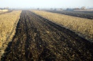 Firma Bogaris a vândut un teren agricol din România cu 2 mil. euro