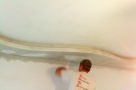 O parte din banii investiţi în renovarea locuinţei vor fi returnaţi de stat