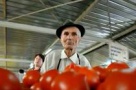 Piata de legume si fructe Obor va fi demolata