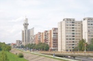 Blocaj pe piaţa din Satu Mare