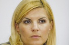 Udrea: Dacă bani de la buget nu avem, atunci ne bazăm pe fonduri private