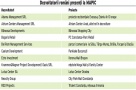 Proiectele imobiliare romanesti nu au mai atras atentia in Europa