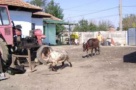 Sectorul 4 se pregăteşte pentru Recensământul General Agricol