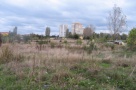 Guvernul vrea să îi oblige pe proprietarii de terenuri să le cureţe