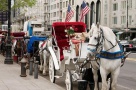 Destinaţii turistice de top în 2011