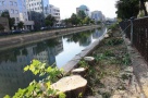 Spatiul verde din Bucuresti s-a dublat. Pe hartie
