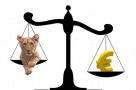 Ce a determinat întărirea leului?