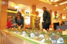 Prima Casă i-a adus pe bucureşteni la Project Expo