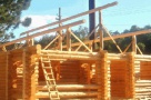 Iti construiesti casa? Caramida, BCA sau lemn - Vezi sfaturile expertilor