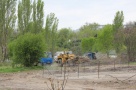 Au inceput defrisarile pentru aqualand-ul din Parcul Tineretului