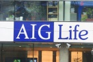 T.Alexandrescu: AIG Life nu a investit în imobiliare şi nici nu o va face