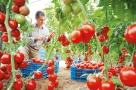 Ce face cel mai bogat israelian cu 10.000 de hectare de terenuri din România