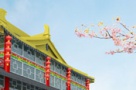 Cel mai mare complex China Town din Europa se deschide pe 19 iulie la Afumati
