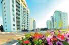 Factorii care au influentat piata de locuinte in 2011: Prima casa si buyback-ul imobiliar