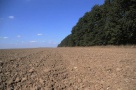Tabara catre UE: Nu ne obligati sa vindem teren agricol nerezidentilor