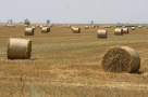 Terenurile agricole din România, ţinta străinilor în căutare de investiţii sigure