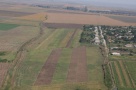 Ţiriac: am cash şi vreau să investesc în terenuri agricole. Caut parteneri