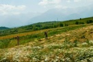 Firmele private vor putea participa la realizarea cadastrului general al României