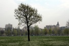 Piata terenurilor: 2012 va fi anul proprietatilor “preparate” urbanistic