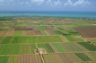 Terenurile agricole, tot mai căutate. Preţul lor urcă vertiginos, iar suprafaţa totală scade puternic
