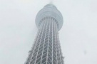 Japonezii au construit cel mai inalt turn din lume