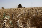 Noul aur negru: terenul agricol din SUA